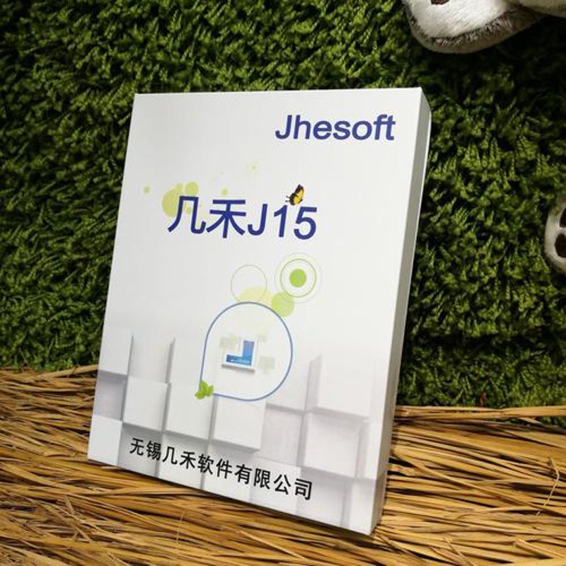 信息化解决方案：企业迈向未来的阶梯